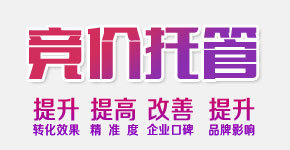 公司介绍